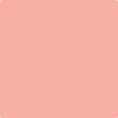 Benjamin Moore's 003 Pink Paradise| Hirshfield's
