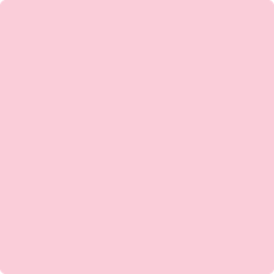 Benjamin Moore's 2003-60 Exotic Pink| Hirshfield's