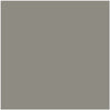 0575 Greystoke paint color swatch from the Color Is… Collection, available at Hirshfield's in Minnesota, North Dakota, South Dakota, and Wisconsin.