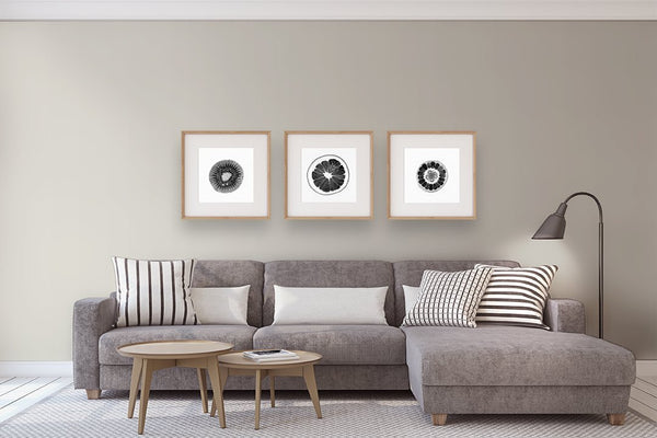 Benjamin Moore's OC-23 Classic Gray | Hirshfield's