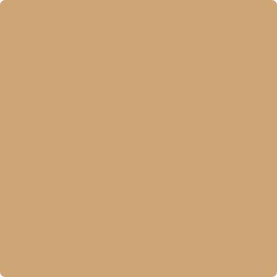 Benjamin Moore's CC-274 Ginger Root | Hirshfield's