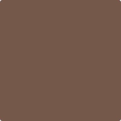 Benjamin Moore's CC-482 Chocolate Fondue | Hirshfield's