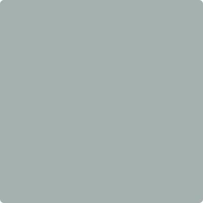 Benjamin Moore's CC-710 Mount Saint Anne | Hirshfield's