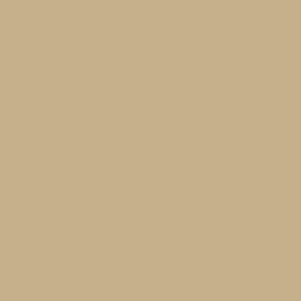 Digital representation of the paint color 0317 Green Gold from the Color Is… Color Collection available at Hirshfield's.