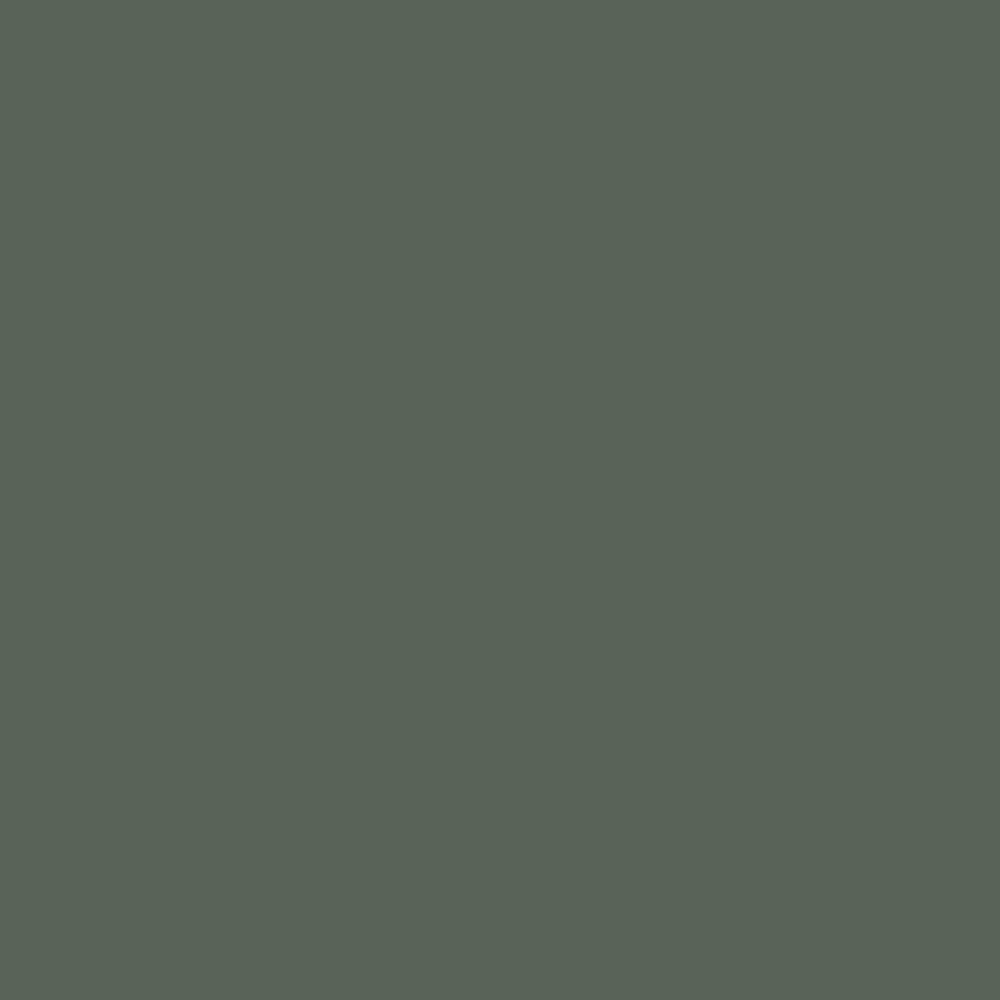 Digital representation of the paint color 0459 Pleasant Hill from the Color Is… Color Collection available at Hirshfield's.