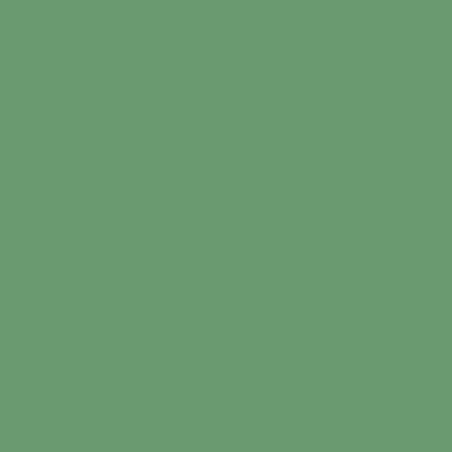 Digital representation of the paint color 0724 Wildness Mint from the Color Is… Color Collection available at Hirshfield's.