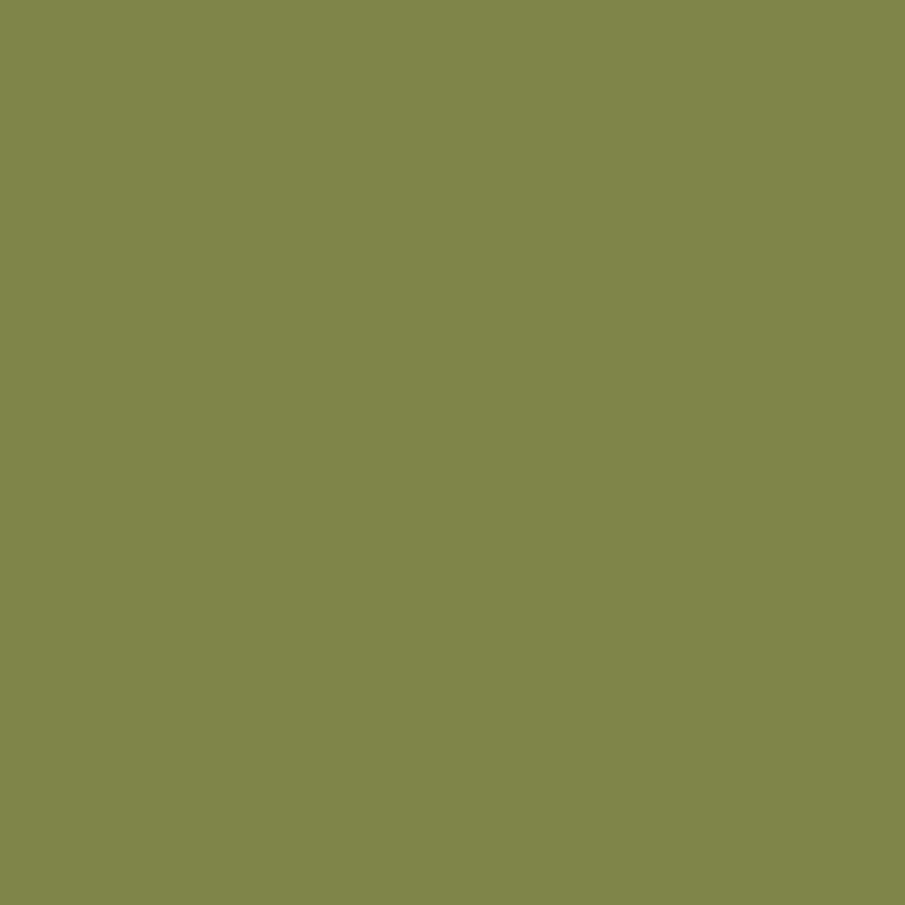 Digital representation of the paint color 0788 Green Glow from the Color Is… Color Collection available at Hirshfield's.