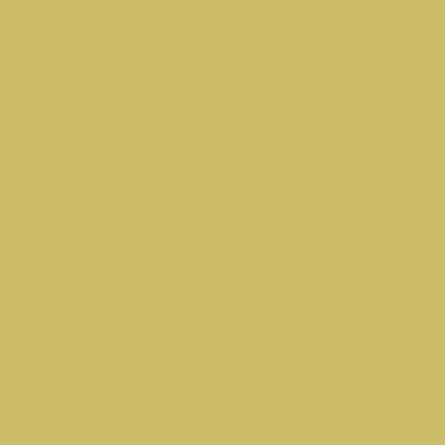 Digital representation of the paint color 0800 Yellow Umbrella from the Color Is… Color Collection available at Hirshfield's.