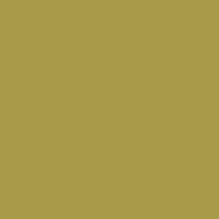Digital representation of the paint color 0802 Rain Boots from the Color Is… Color Collection available at Hirshfield's.