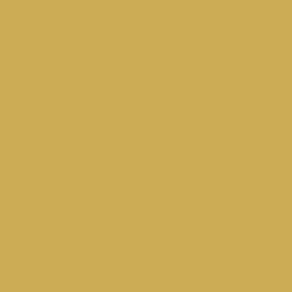 Digital representation of the paint color 0808 Yellow Lupine from the Color Is… Color Collection available at Hirshfield's.