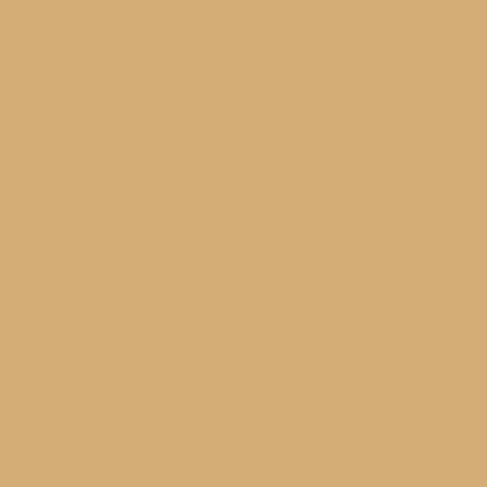 Digital representation of the paint color 0898 Goby Desert from the Color Is… Color Collection available at Hirshfield's.