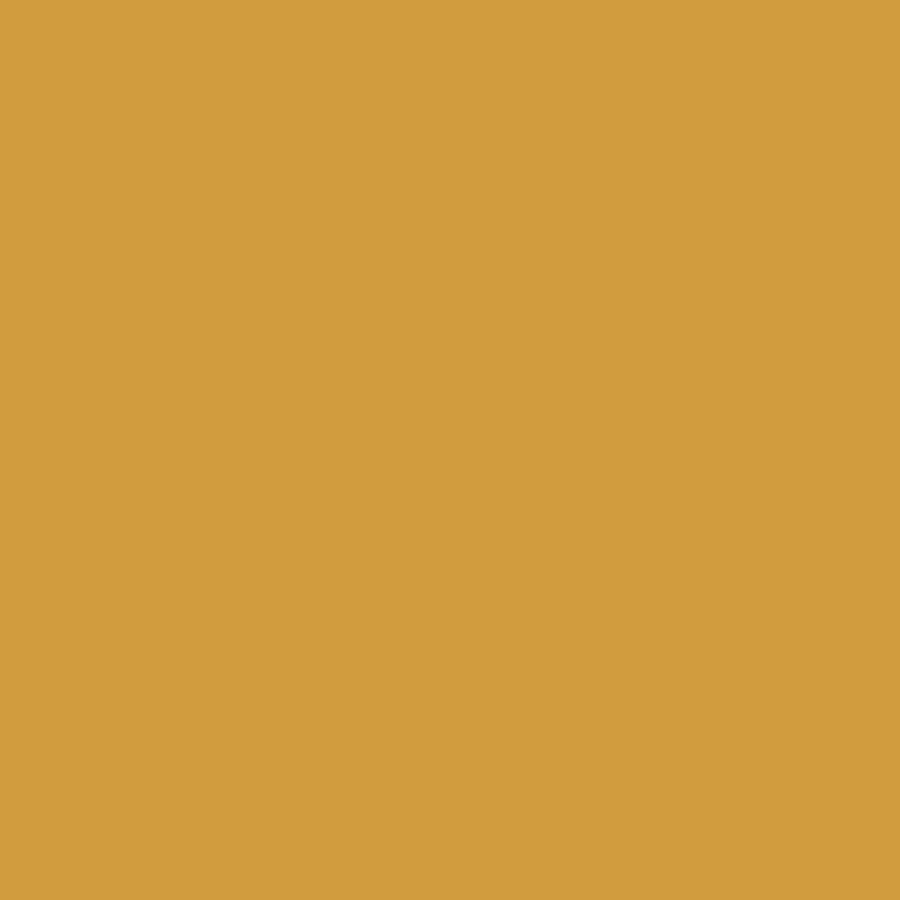 Digital representation of the paint color 0935 Yellow Shout from the Color Is… Color Collection available at Hirshfield's.
