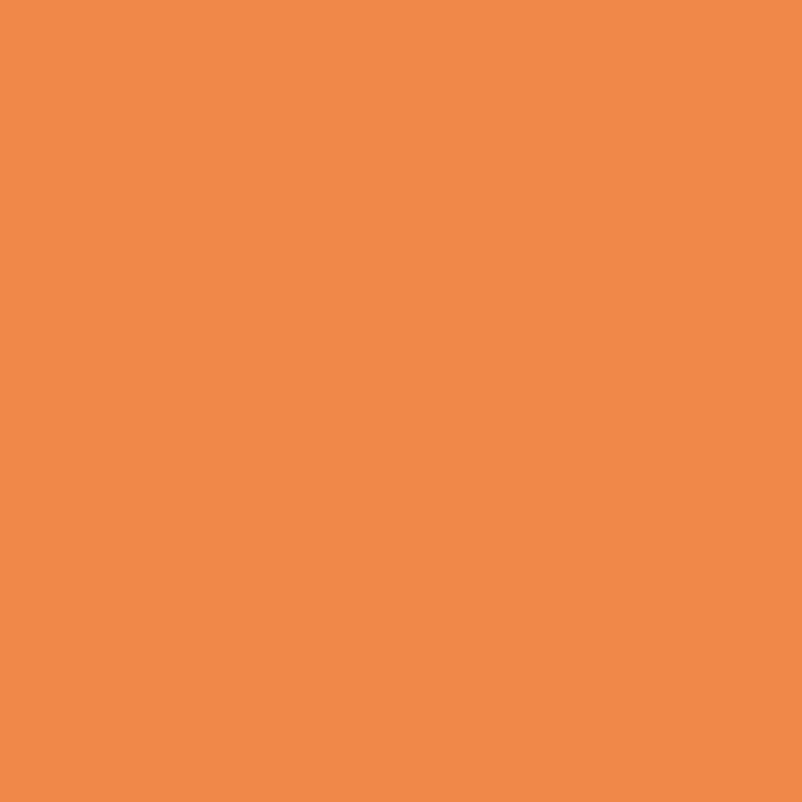 Digital representation of the paint color 0977 Cheddar Cheese from the Color Is… Color Collection available at Hirshfield's.