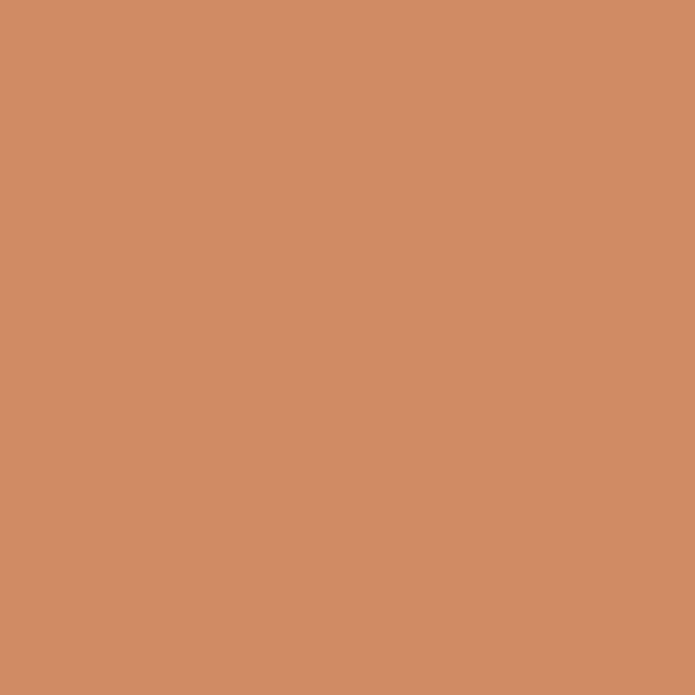 Digital representation of the paint color 1018 Sunny Horizon from the Color Is… Color Collection available at Hirshfield's.