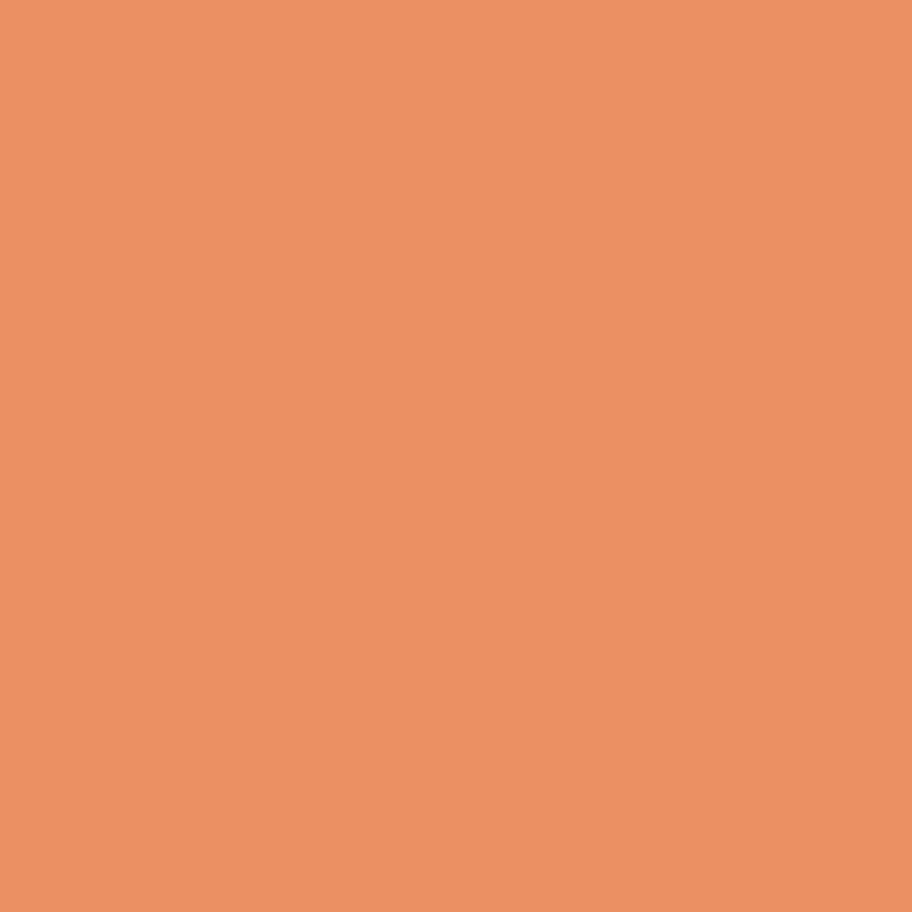 Digital representation of the paint color 1025 Heat of Summer from the Color Is… Color Collection available at Hirshfield's.