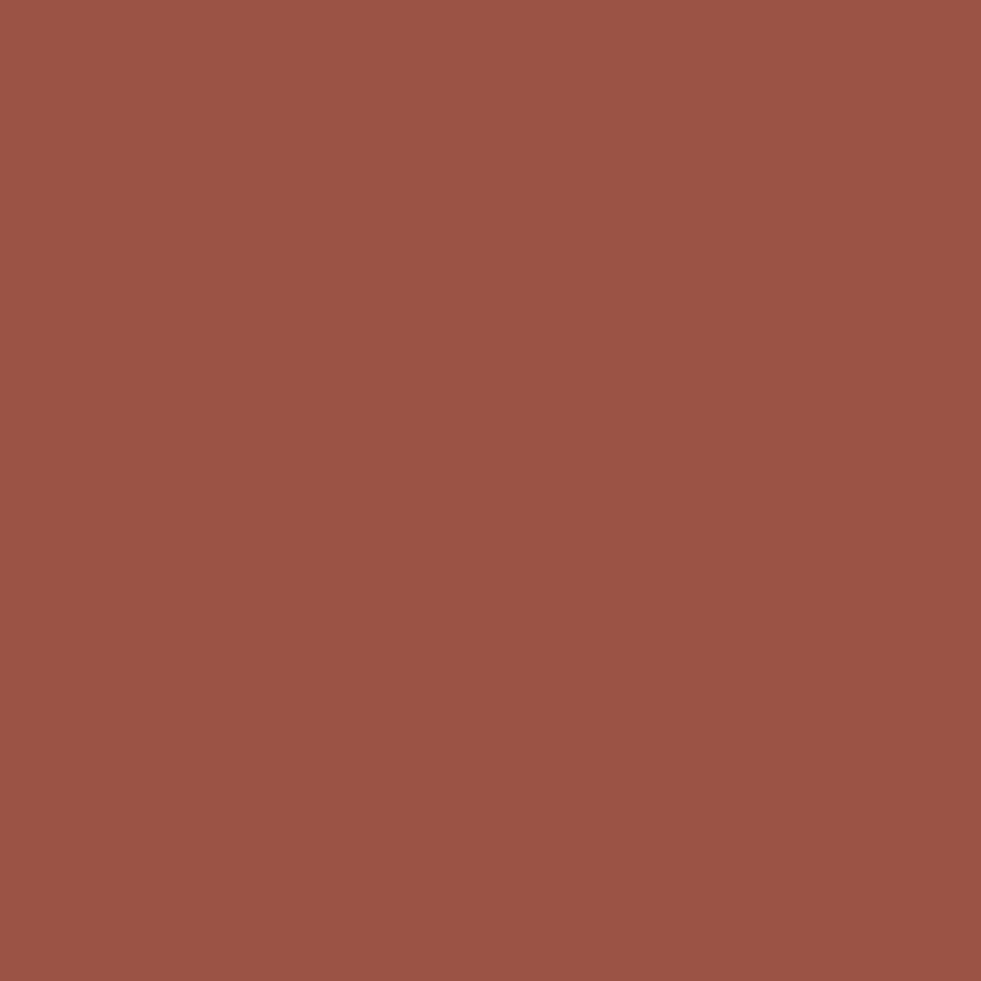Digital representation of the paint color 1040 Dark Marmalade from the Color Is… Color Collection available at Hirshfield's.