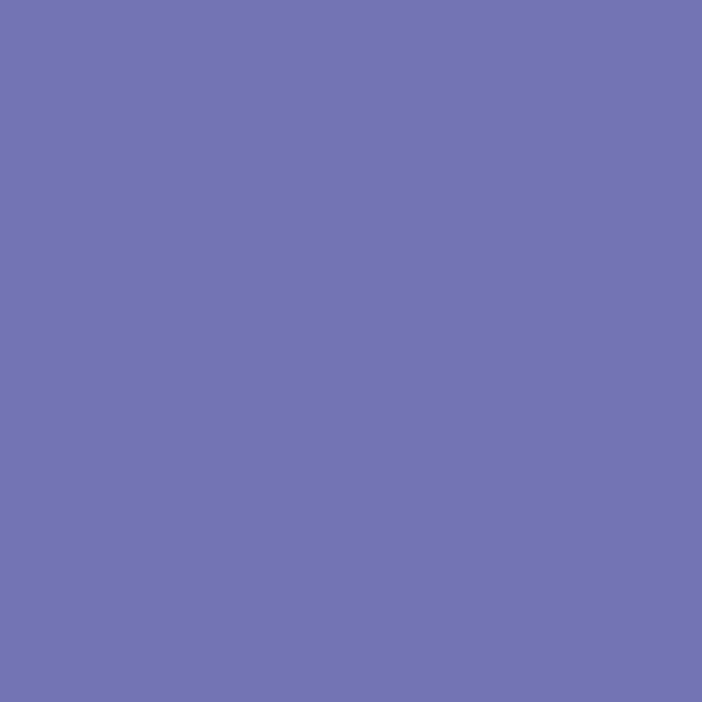 Digital representation of the paint color 1263 Medieval from the Color Is… Color Collection available at Hirshfield's.