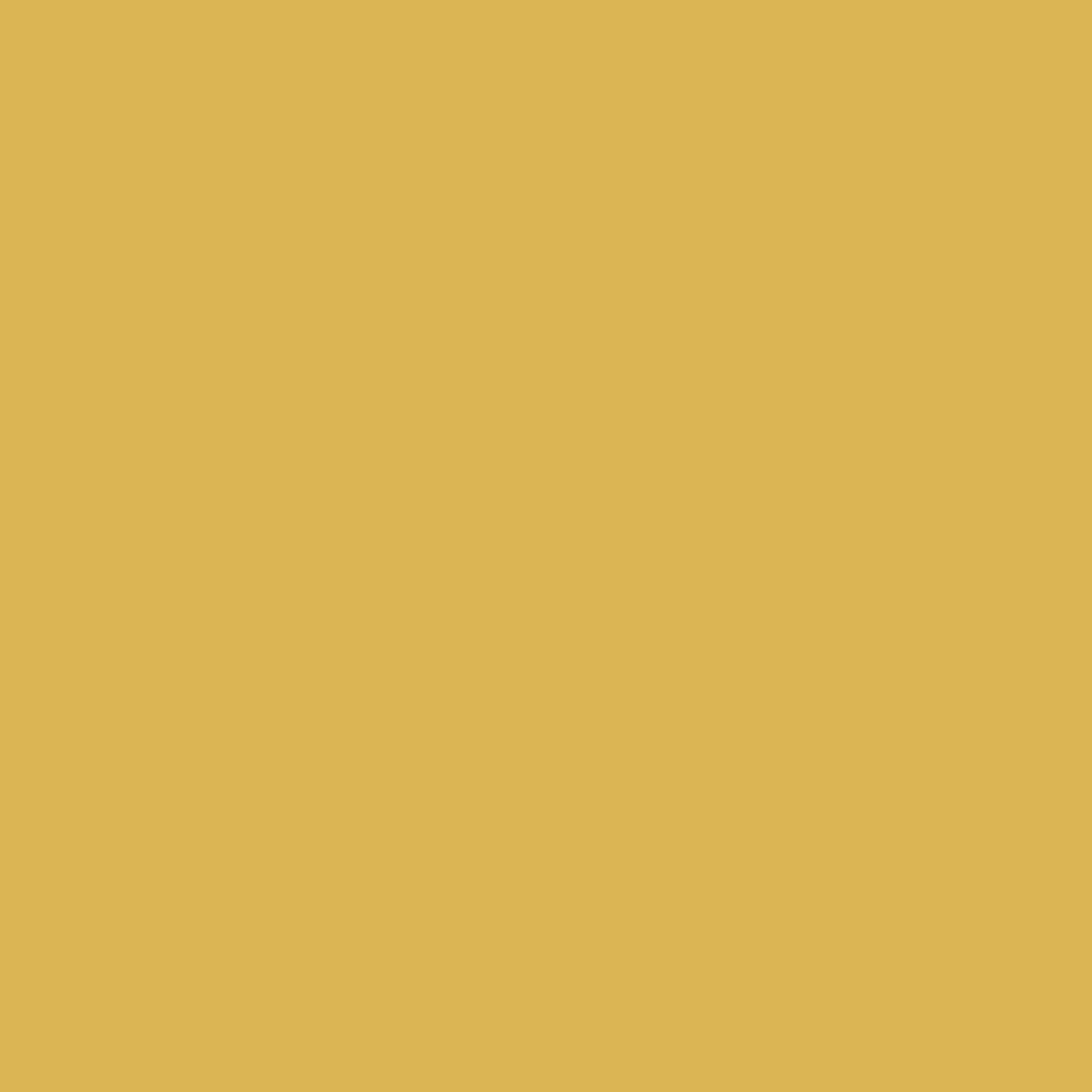 Digital representation of the paint color H0025 Golden Rod from the Color Is… Color Collection available at Hirshfield's.