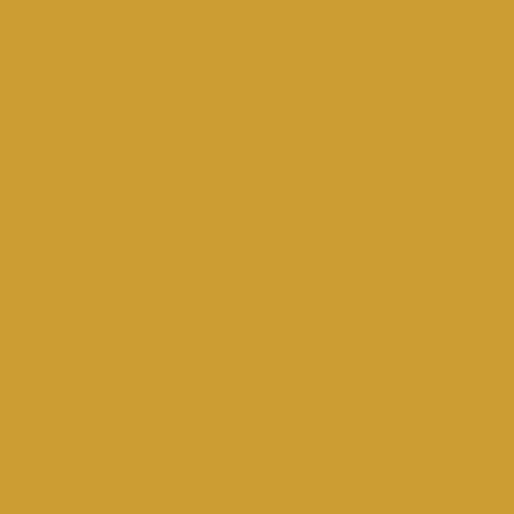 Digital representation of the paint color H0026 Curry from the Historic Collection available at Hirshfield's.