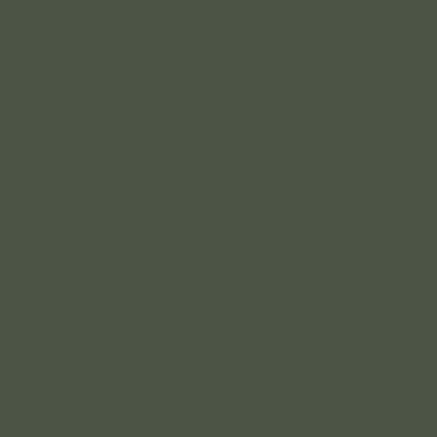 Digital representation of the paint color H0095 Baize from the Color Is… Color Collection available at Hirshfield's.