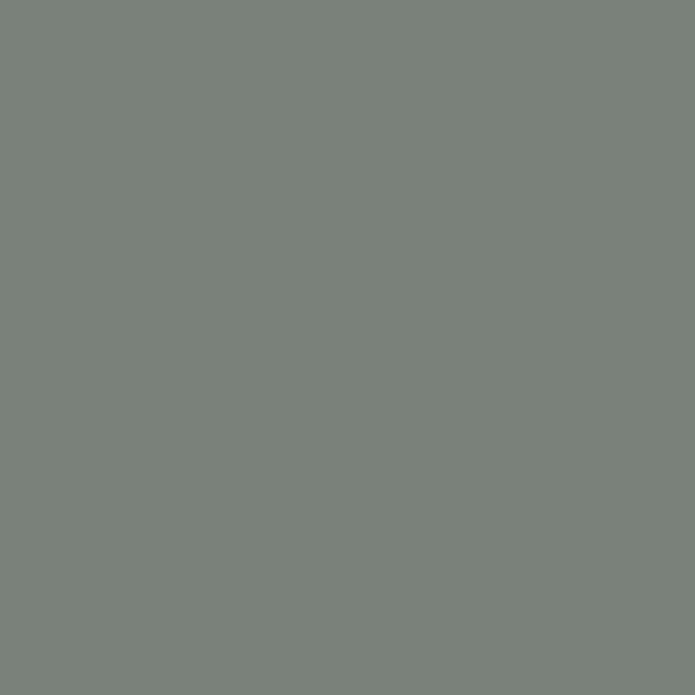 H0145 Monument Gray