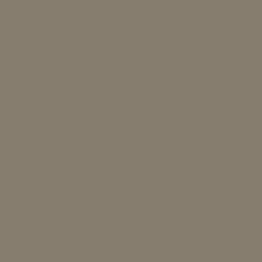 cocoaページ 0260 Cocoa Nib | Color Is? by Hirshfield's