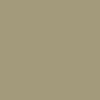 Digital representation of the paint color 0358 Silky Green from the Color Is… Color Collection available at Hirshfield's.