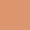 Digital representation of the paint color 1007 Pastel Peach from the Color Is… Color Collection available at Hirshfield's.