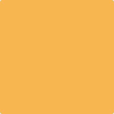 174 Sunflower Fields