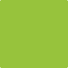 2026-10 Lime Green