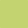 2028-40 Pear Green