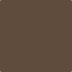 Benjamin Moore's 2111-20 Grizzly Bear Brown| Hirshfield's