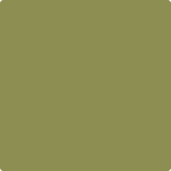 トップス　オリーブグリーン 2145-20-terrapingreen_bb8bf466