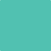 656 Miami Teal