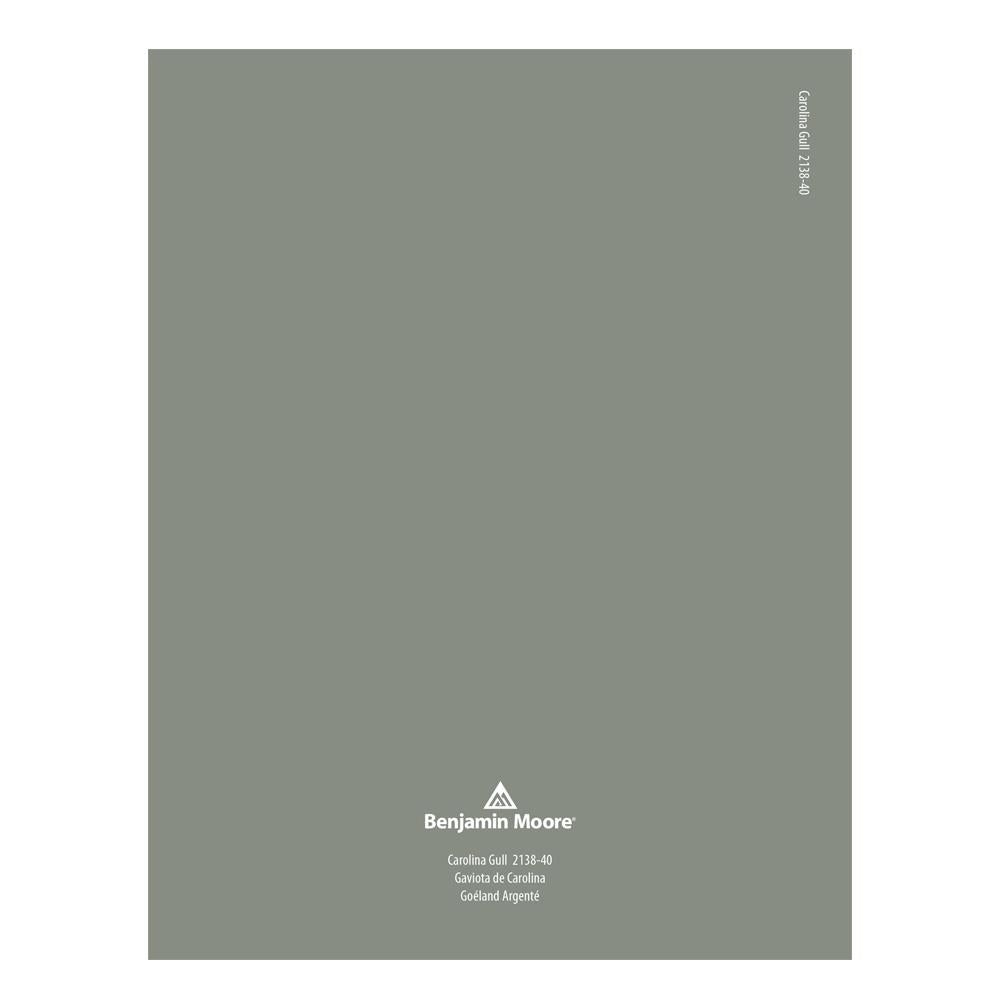 2138-40 Carolina Gull Peel & Stick Color Swatch by Benjamin Moore, available at Hirshfield's in Minnesota.