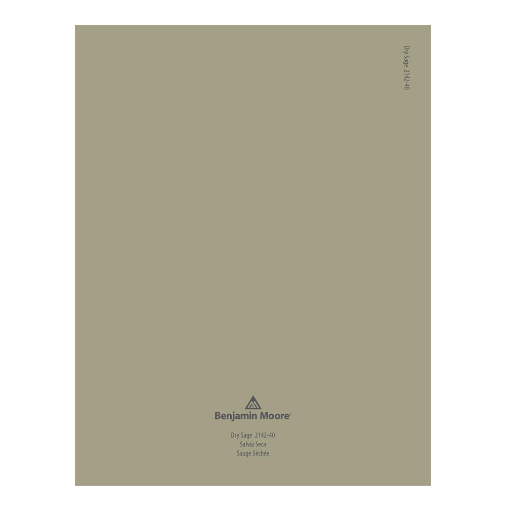 2142-40 Dry Sage Peel & Stick Color Swatch by Benjamin Moore, available at Hirshfield's in Minnesota.