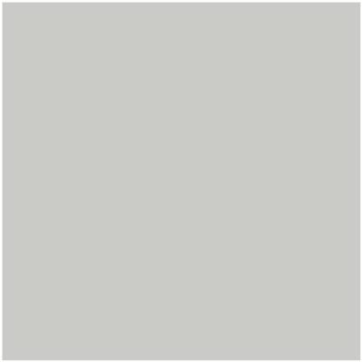 Benjamin Moore Color HC-170 Stonington Gray