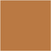 H0016 Pumpkin paint color swatch from the Color Is… Collection, available at Hirshfield's in Minnesota, North Dakota, South Dakota, and Wisconsin.