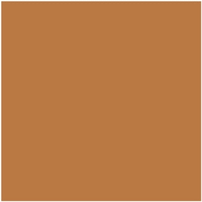 H0016 Pumpkin paint color swatch from the Color Is… Collection, available at Hirshfield's in Minnesota, North Dakota, South Dakota, and Wisconsin.
