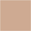 H0039 Rundlet Peach paint color swatch from the Color Is… Collection, available at Hirshfield's in Minnesota, North Dakota, South Dakota, and Wisconsin.
