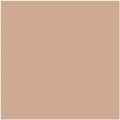 H0039 Rundlet Peach paint color swatch from the Color Is… Collection, available at Hirshfield's in Minnesota, North Dakota, South Dakota, and Wisconsin.