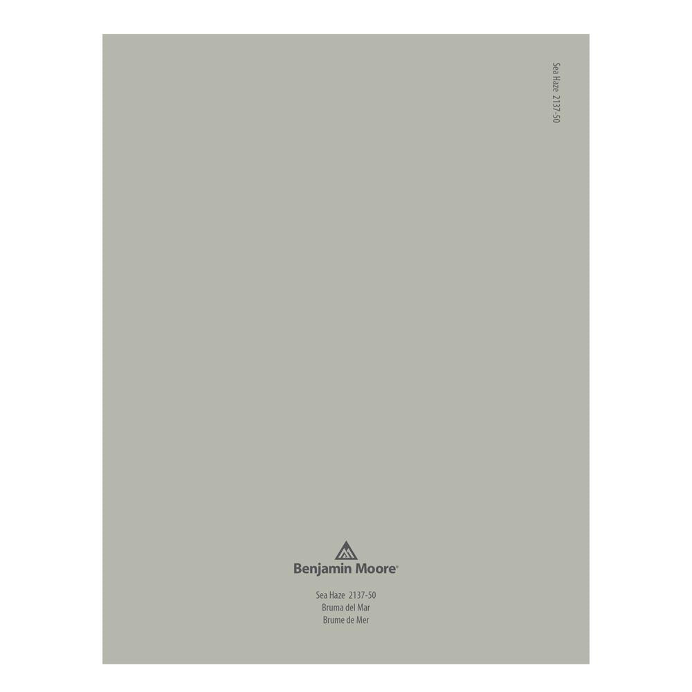 2137-50 Sea Haze Peel & Stick Color Swatch by Benjamin Moore, available at Hirshfield's in Minnesota.
