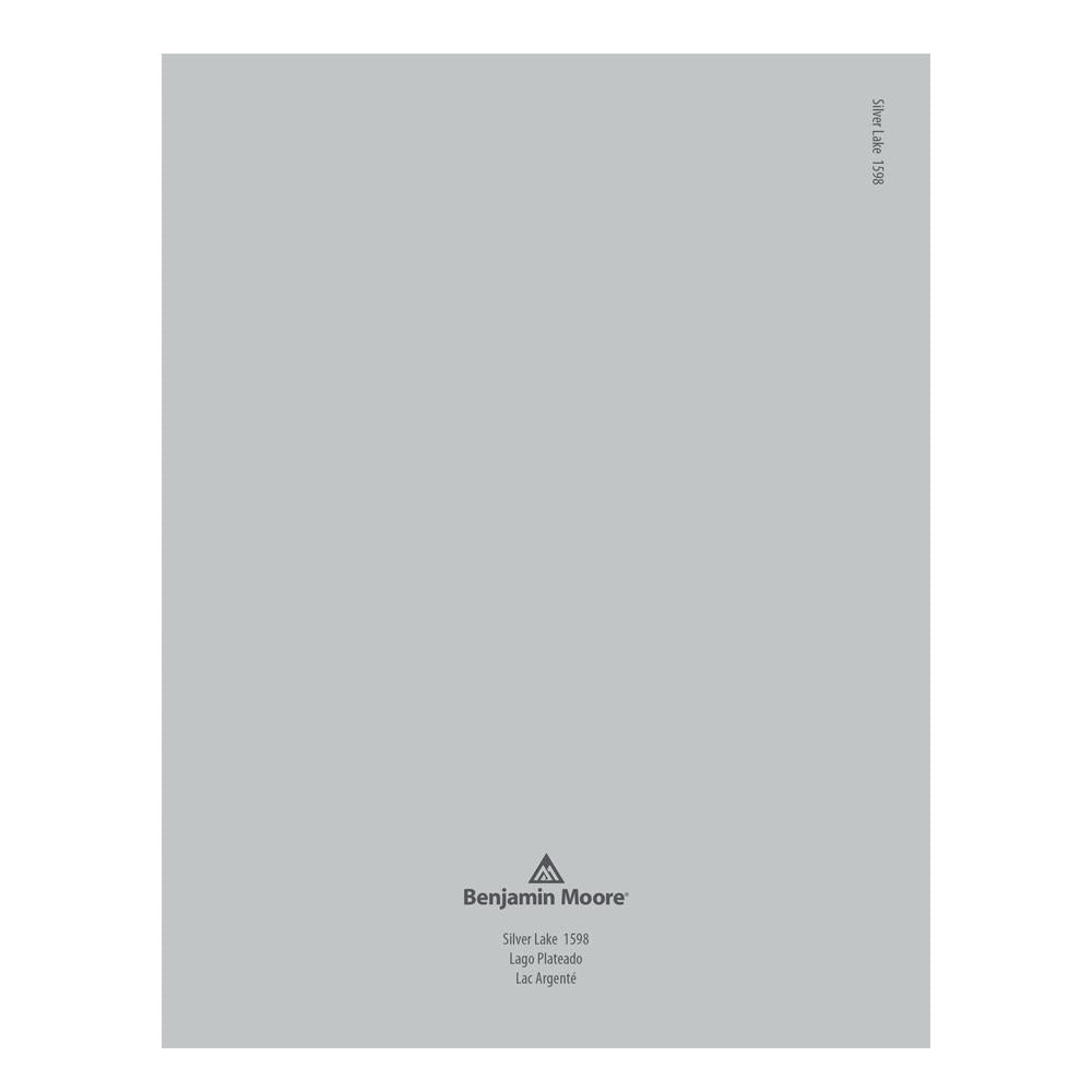 1598 Silver Lake Peel & Stick Color Swatch by Benjamin Moore, available at Hirshfield's in Minnesota.