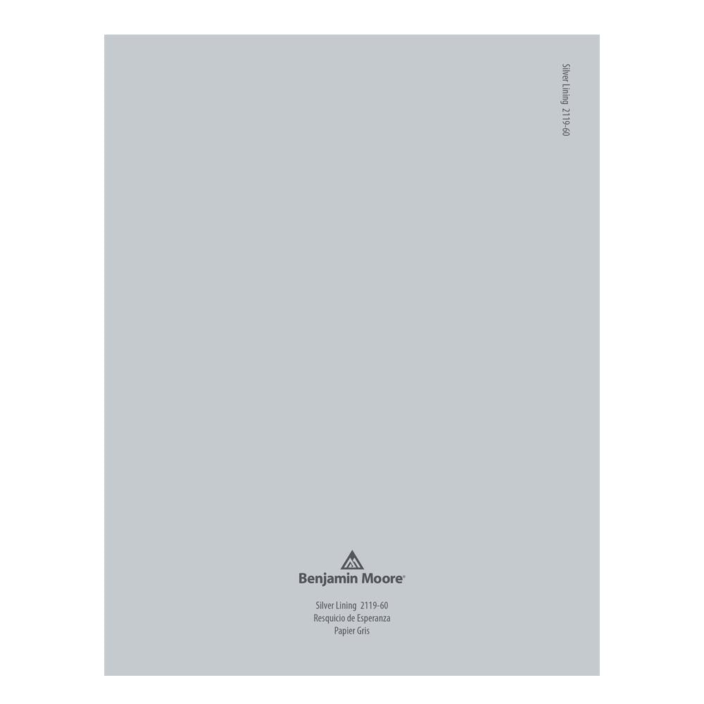 2119-60 Silver Lining Peel & Stick Color Swatch by Benjamin Moore, available at Hirshfield's in Minnesota.