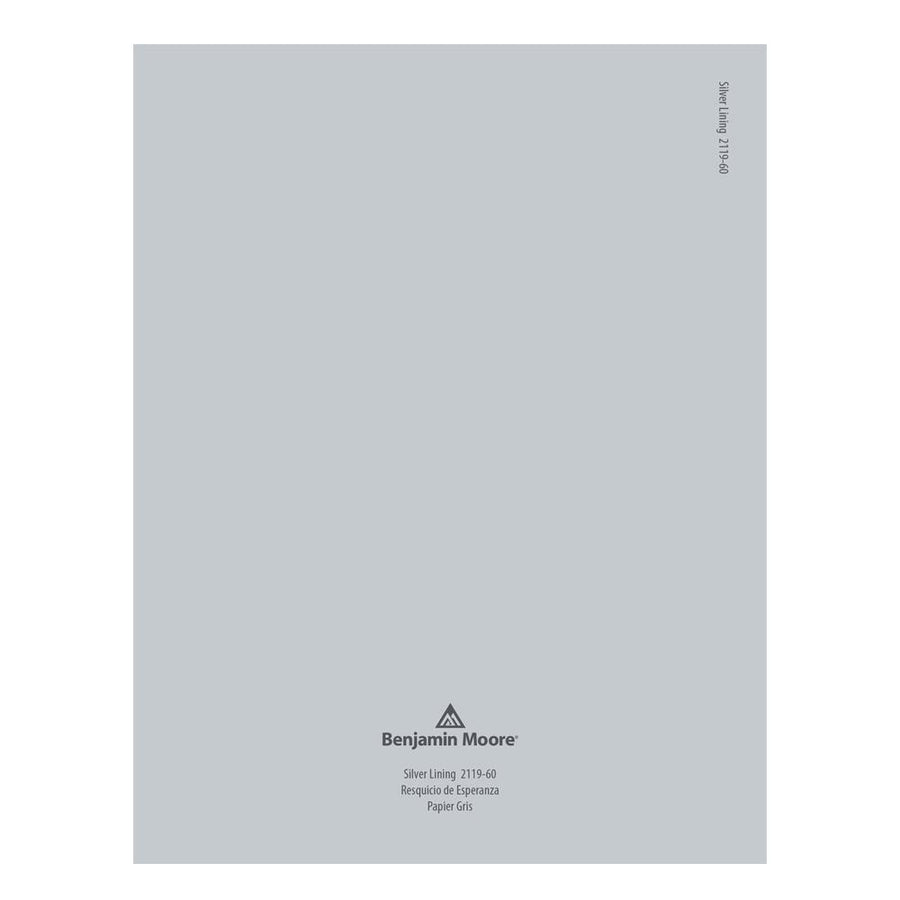 2119-60 Silver Lining Peel & Stick Color Swatch by Benjamin Moore, available at Hirshfield's in Minnesota.