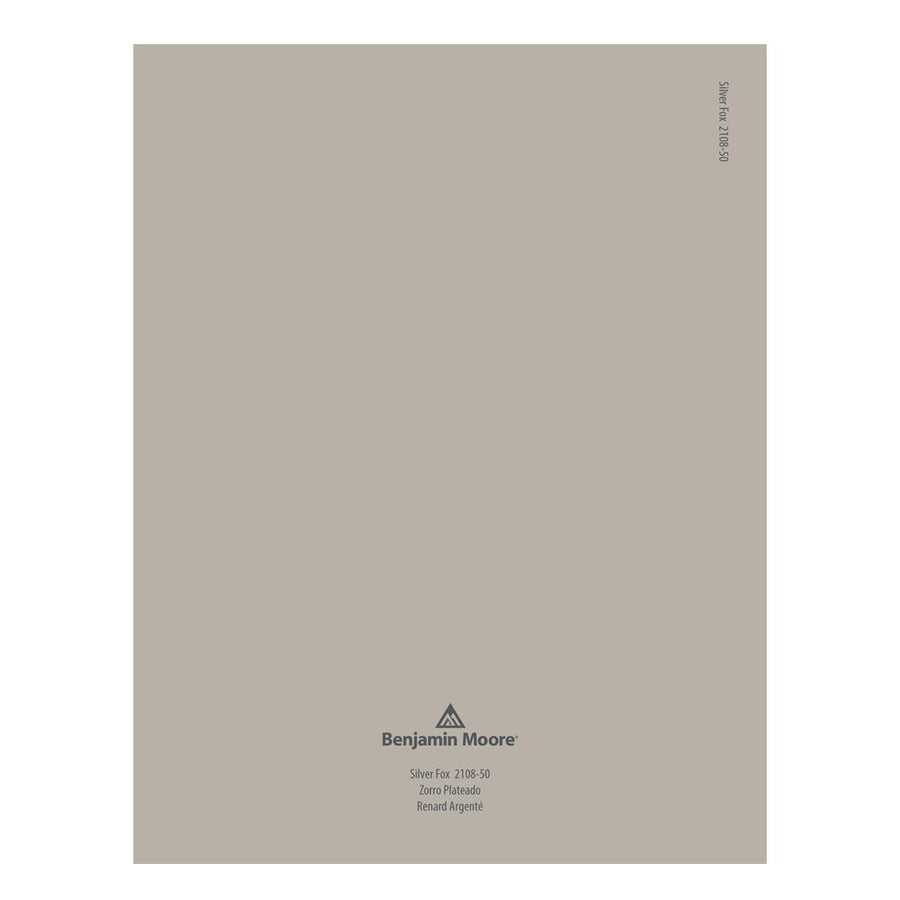 2108-50 Silver Fox Peel & Stick Color Swatch by Benjamin Moore, available at Hirshfield's in Minnesota.