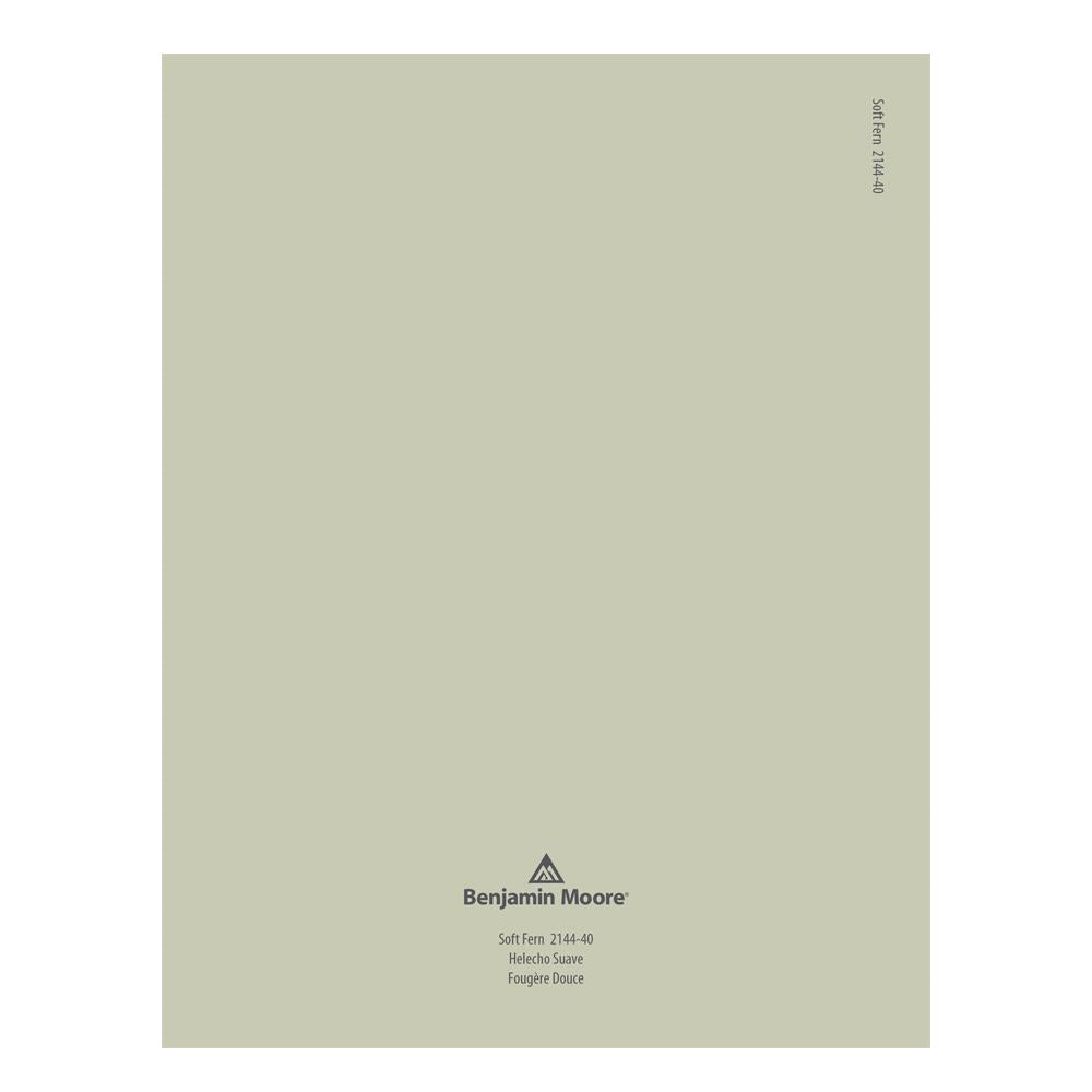 2144-40 Soft Fern Peel & Stick Color Swatch by Benjamin Moore, available at Hirshfield's in Minnesota.