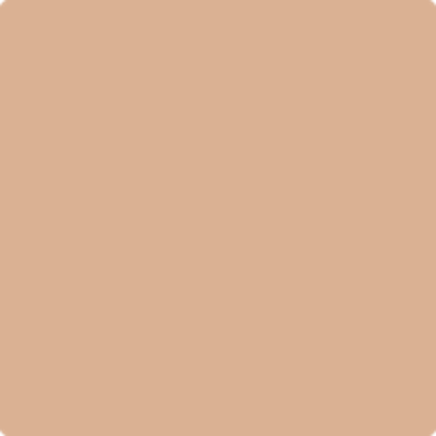Benjamin Moore Color AF-205 Serendipity