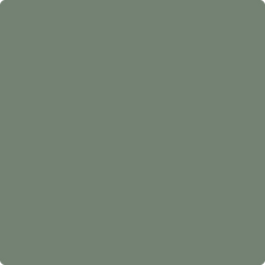 Benjamin Moore's AF-475 Lush | Hirshfield's