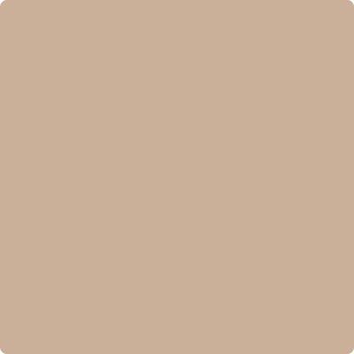 Benjamin Moore Color CC-366 Nubuck